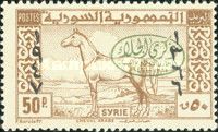 Arab Horse overprinted