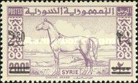 Arab Horse surcharged