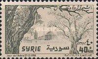 Trees before Mosque