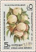 Apples