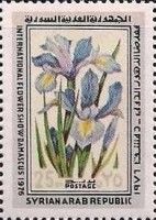 Irises