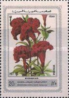 Coxcomb