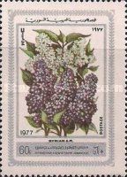 Lilacs