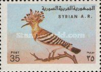Eurasian Hoopoe (Upupa epops)