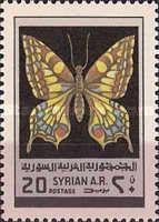 Swallowtail (Papilio machaon)