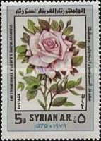 Roses.