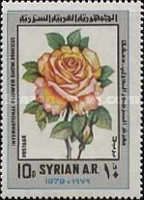 Roses.