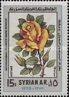Roses.