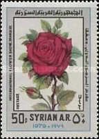 Roses.
