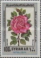 Roses.