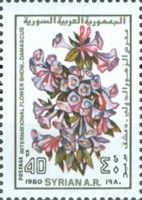 Clematis