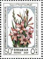 Flowers.