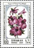 Flowers.