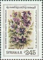 Love-in-a-Mist (Nigella damascena)