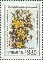 Flowers - Wild rue or Syrian rue (Peganum harmala)