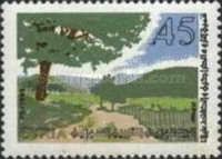 Woodland Conservation