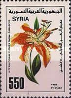 Tiger Lily