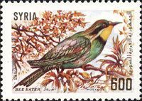 European Bee-eater (Merops apiaster)