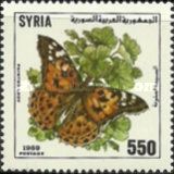 Painted Lady (Vanessa cardui)