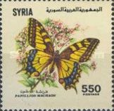 Swallowtail (Papilio machaon)