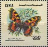 Small Tortoiseshell (Aglais urticae)