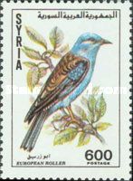 European Roller (Coracias garrulus)