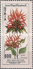 Monarda didyma