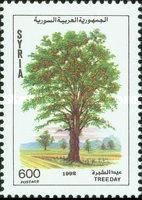 Arbor Day