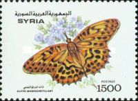 Silver-washed Fritillary (Argynnis paphia)
