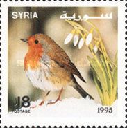 European Robin (Erithacus rubecula)