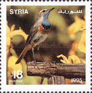 Bluethroat (Luscinia svecica)