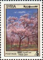 Tree day 2001