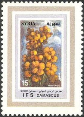 Syrian flowers