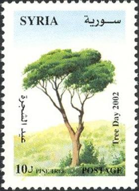 Tree Day 2002
