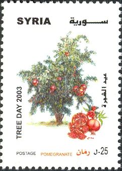 Tree Day - Pomegranate