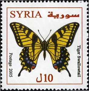 Tiger swallowtail (Papilio glaucus)