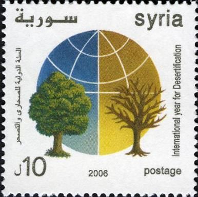 International Year of Desertification