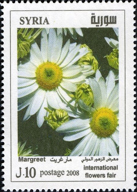 Margreet