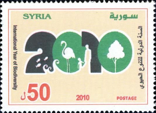 International Year of Biodiversity