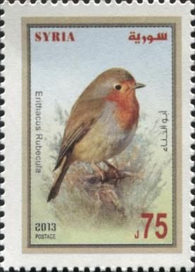 European Robin (Erithacus rubecula)