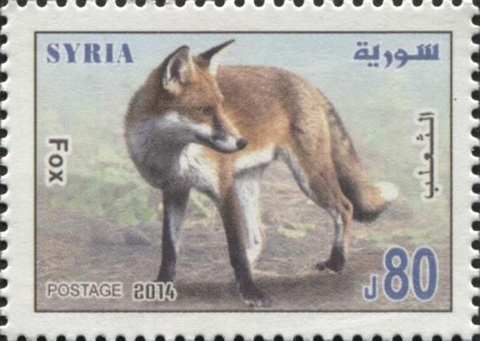 Fox
