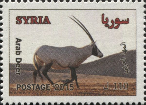 Arab Deer (Oryx leucoryx)