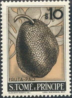 Breadfruit (Artocarpus incisa)