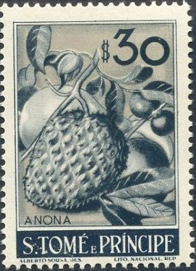 Annona squamosa
