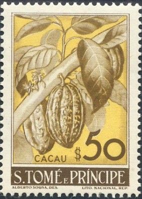Cacau (Theobroma cacao)