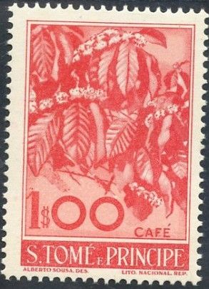 Café (Coffea canephora)