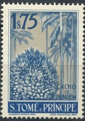 Cacho de Dendem (Elaeis guineensis)