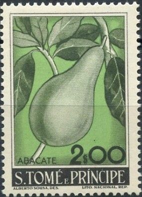 Abacte (Persea americana)