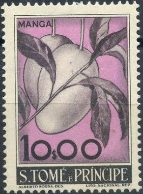 Manga (Mangifera indica)