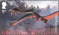 Coloborhynchus